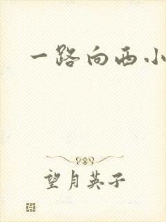 一路向西小说