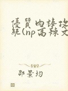 优质肉棒攻略系统(np高辣文)封面