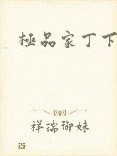 极品家丁下载