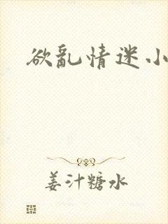 欲乱情迷小说
