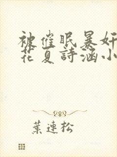 被催眠暴奸的校花夏诗涵小说封面