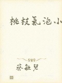 桃枝气泡小说