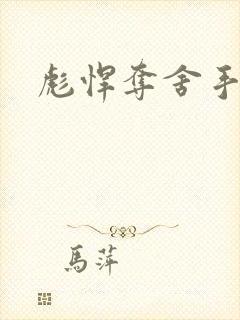 彪悍夺舍手札