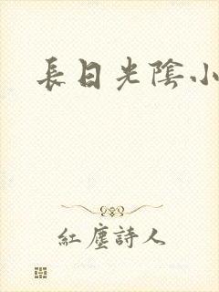 长日光阴小说