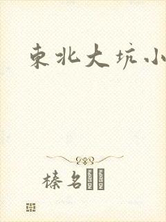东北大坑小说