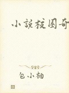 小说校园奇侠