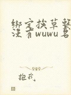 绑定挨草系统后没有wuwu名字