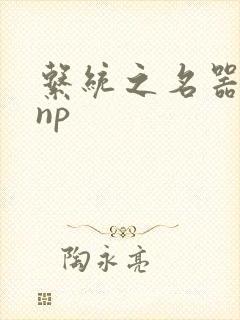 系统之名器攻略np封面