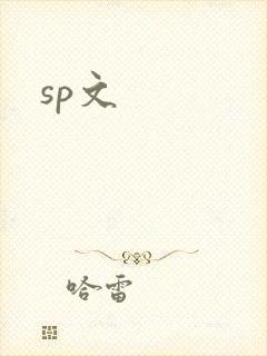 sp文封面