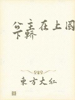 公主在上国师请下轿封面