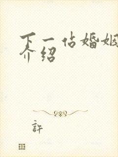 下一站婚姻剧情介绍封面