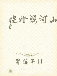提灯照河山txt封面