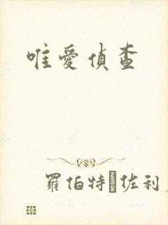 唯爱侦查