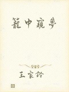 笼中窥梦