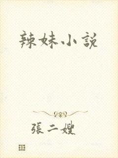辣妹小说封面