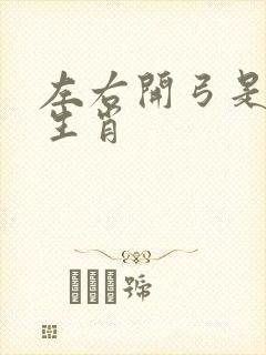 左右开弓是什么生肖