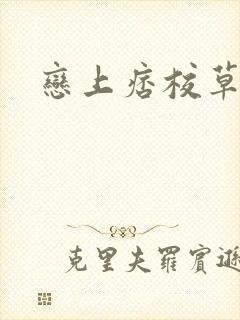恋上痞校草封面
