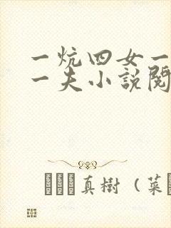 一炕四女一共侍一夫小说阅读