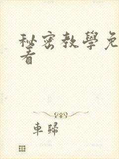 秘密教学免费观看