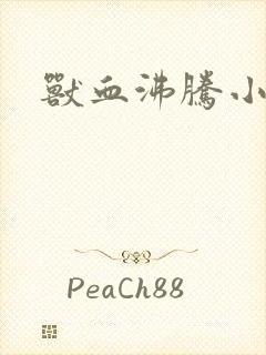 兽血沸腾小说封面