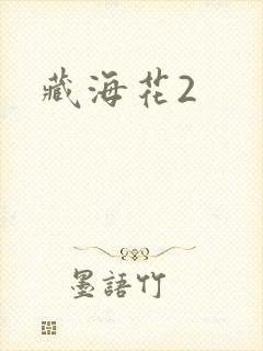 藏海花2封面