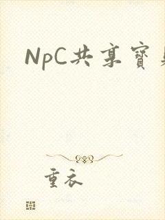 NpC共享宝贝