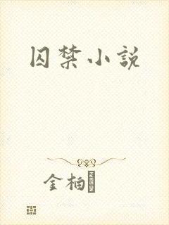 囚禁小说