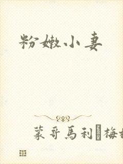 粉嫩小妻封面