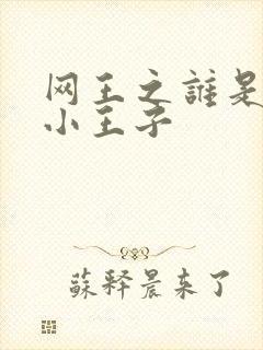 网王之谁是我的小王子