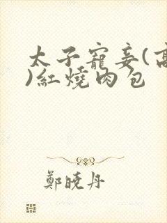 太子宠妾(高肉)红烧肉包