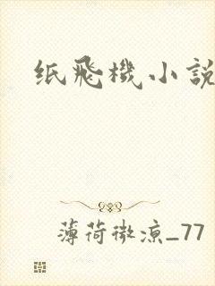 纸飞机小说