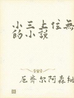 小三上位无三观的小说