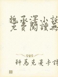 魏承泽小说全文免费阅读无弹窗笔趣