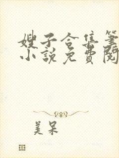 嫂子合集笔趣阁小说免费阅读