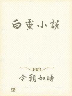 白灵小说