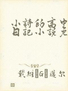 小诗的高中成长日记小说免费阅读