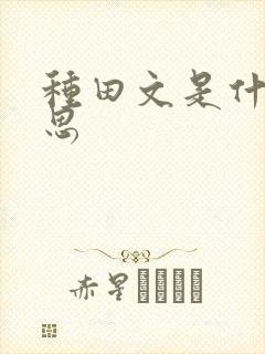 种田文是什么意思