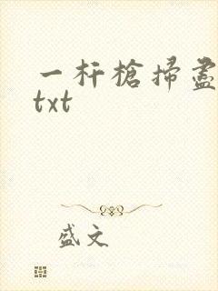 一杆枪扫尽全家txt