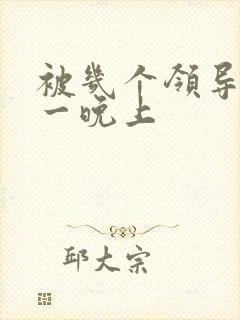 被几个领导玩弄一晚上