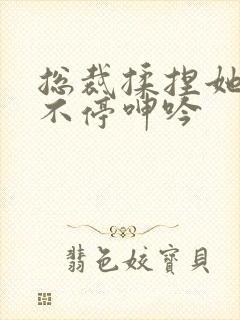 总裁揉捏她两乳不停呻吟