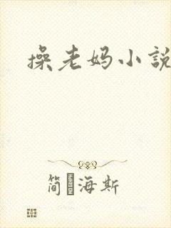 操老妈小说