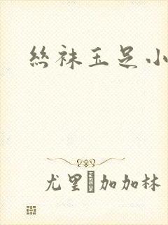 丝袜玉足小说