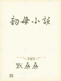 韵母小说