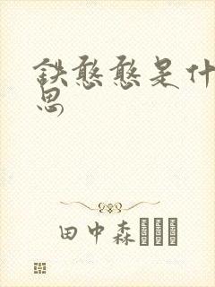 铁憨憨是什么意思