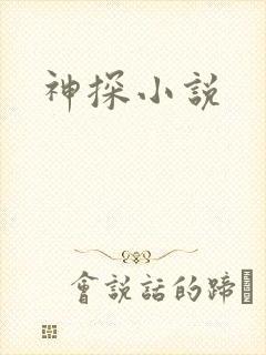 神探小说