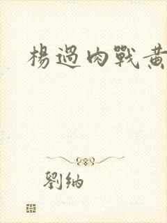 杨过肉战黄蓉