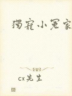 独宠小冤家封面