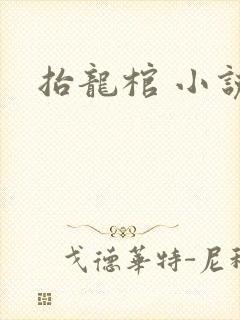 抬龙棺 小说