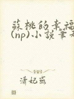 苏桃的幸福生活(np)小说笔趣阁沐沐
