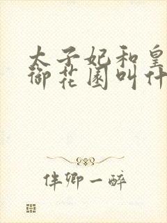 太子妃和皇帝在御花园叫什么小说
